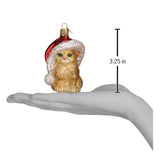 Old World Christmas - Santa'S Kitten - 12366