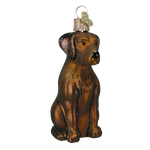 Old World Christmas - Chocolate Labrador - 12387