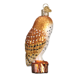 Old World Christmas - Barn Owl - 16118
