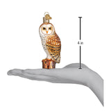 Old World Christmas - Barn Owl - 16118