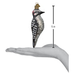 Old World Christmas - Vintage Hairy Woodpecker - 51004