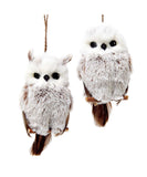 Kurt Adler - Brown and White Hanging Owl Ornaments, 2 Assorted - C2285