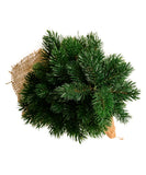 Kurt Adler - 18" Un-Lit Pine Tree - TR2044