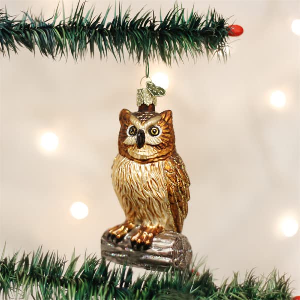 Beautiful Old World Christmas Wise Old OWL Bird Wisdom Glass Christmas Ornament 16019 31052022