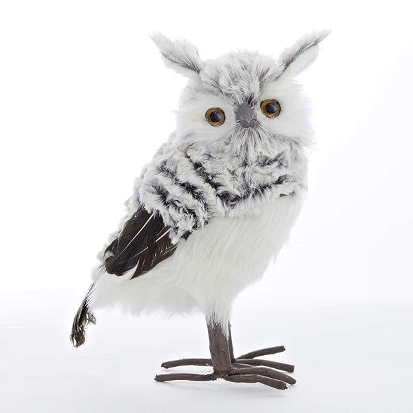 Kurt Adler - Owl - C2241