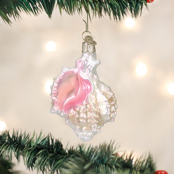 Old World Christmas - Mexican Seashell - 12177