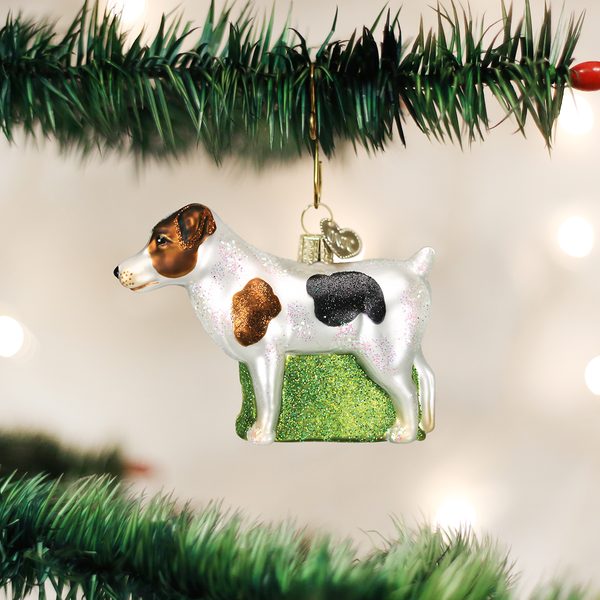 Old World Christmas - Jack Russell Terrier - 12218