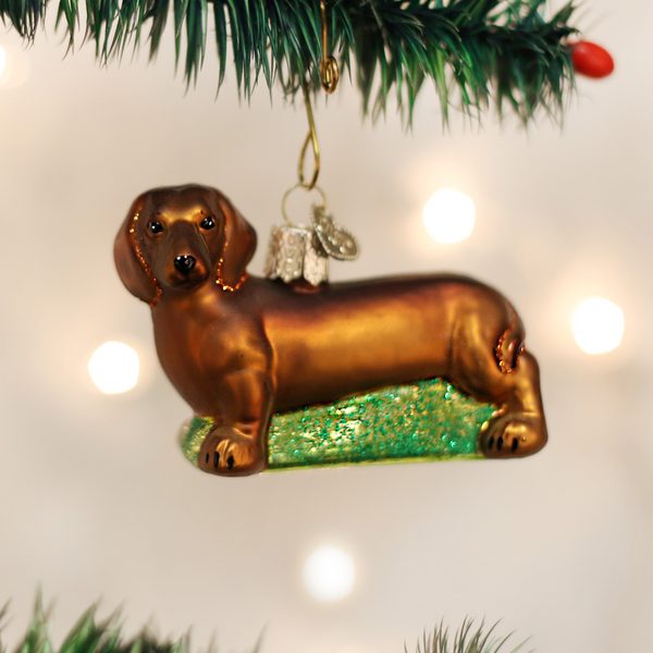 Old World Christmas - Dachshund - 12219