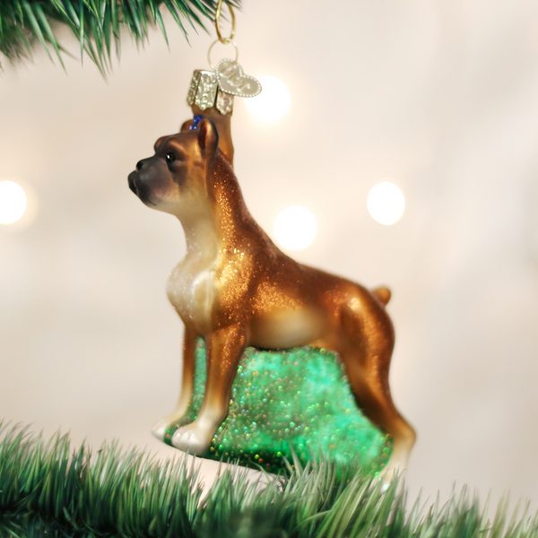 Old World Christmas - Boxer - 12304