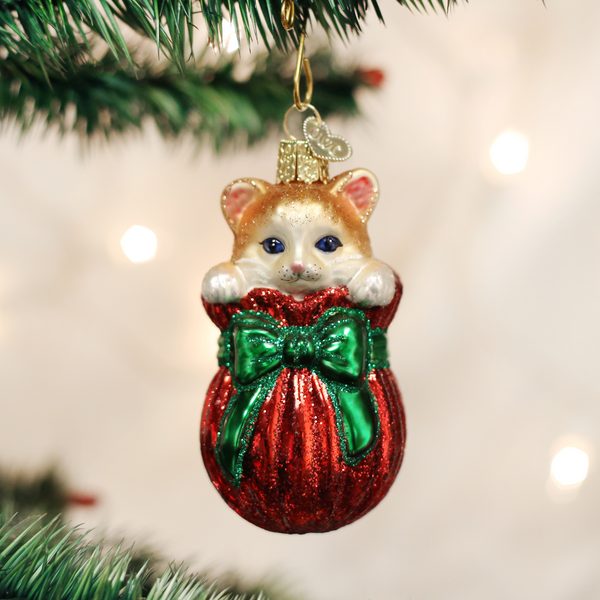 Old World Christmas Glass Blown Ornament with S-Hook and Gift Box, Cat Collection (Letting The Cat Out of The Bag)