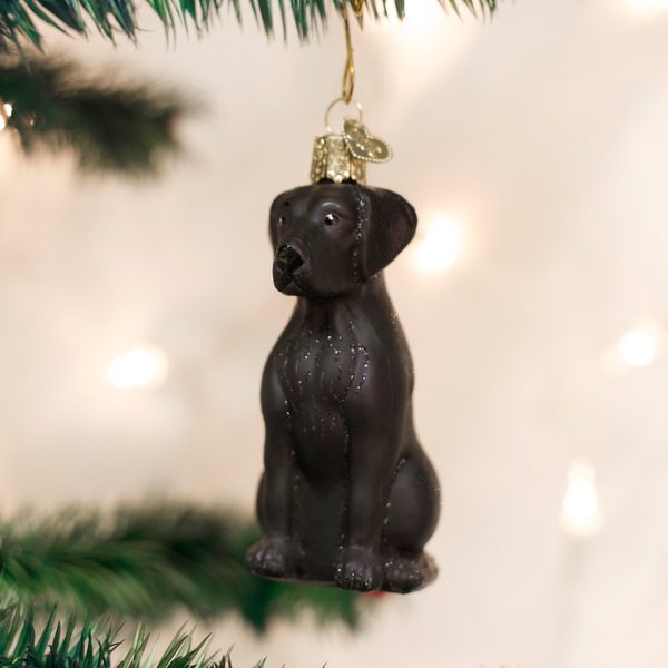 Old World Christmas - Black Labrador - 12385