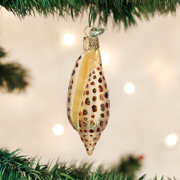 Old World Christmas - Junonia Shell - 12465