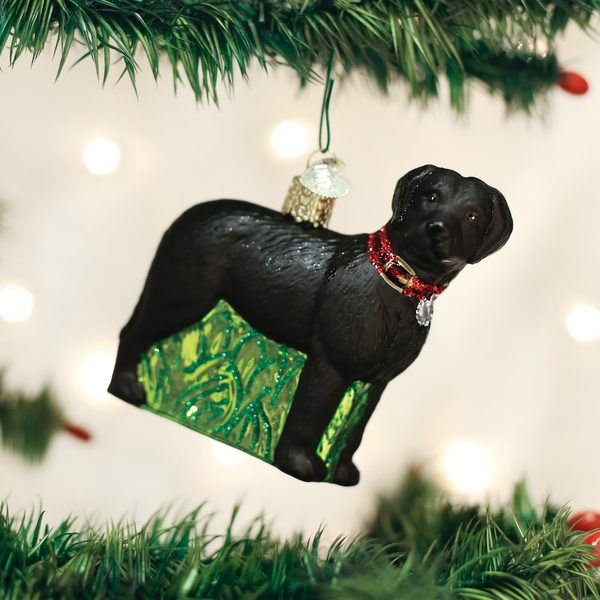 Old World Christmas - Standing Black Lab - 12509