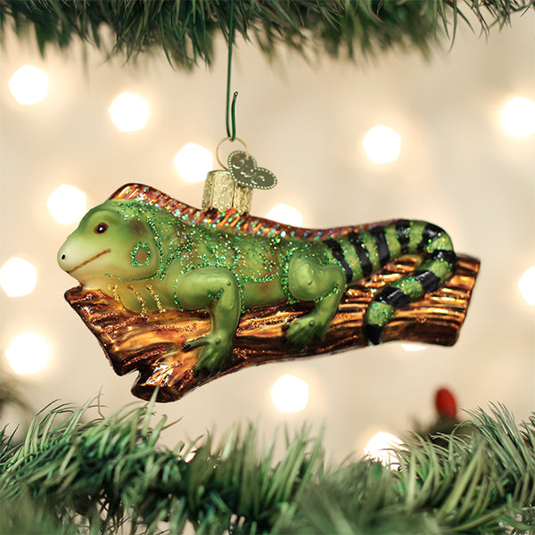Old World Christmas - Iguana - 12540