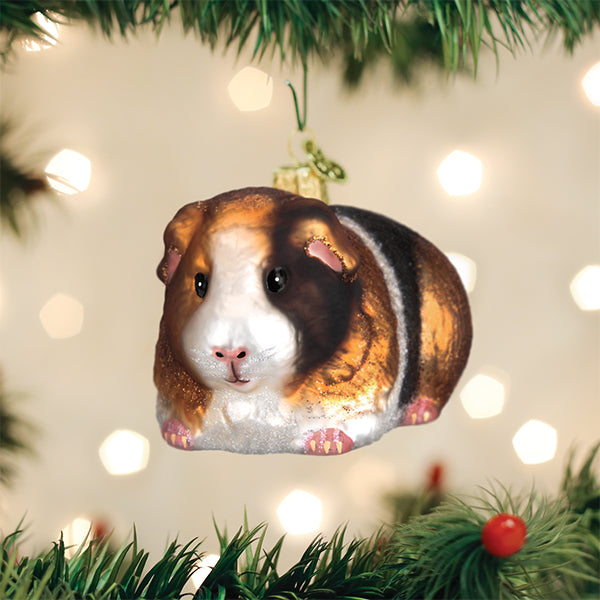 Old World Christmas - Guinea Pig - 12542
