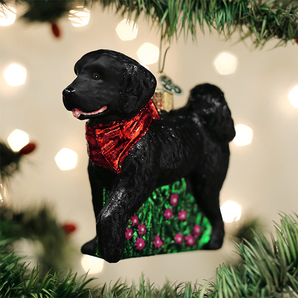 Old World Christmas - Black Doodle Dog - 12560