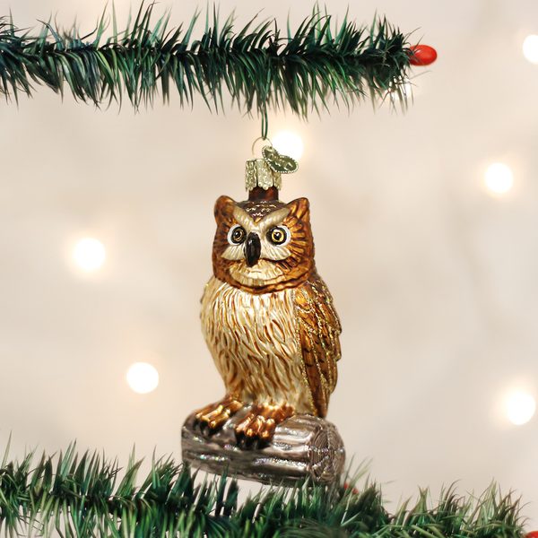 Old World Christmas - Wise Old Owl - 16019