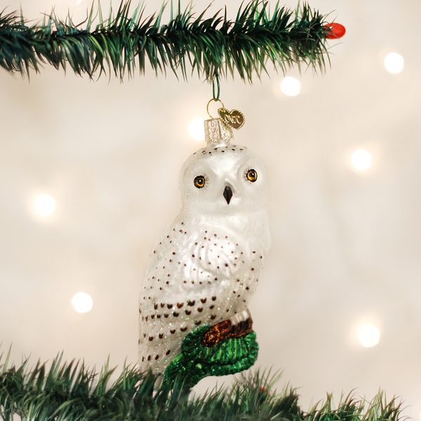 Old World Christmas Glass Blown Ornament with S-Hook and Gift Box, Birds Collection (Great White Owl)