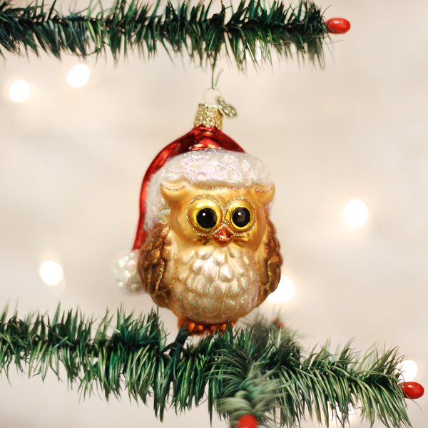Old World Christmas - Santa Owl - 16098