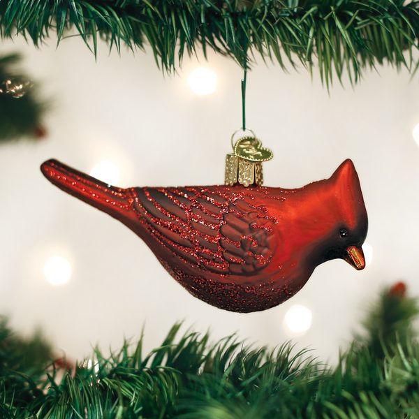 Old World Christmas Glass Blown Ornament with S-Hook and Gift Box, Bird Collection (Northern Cardinal)