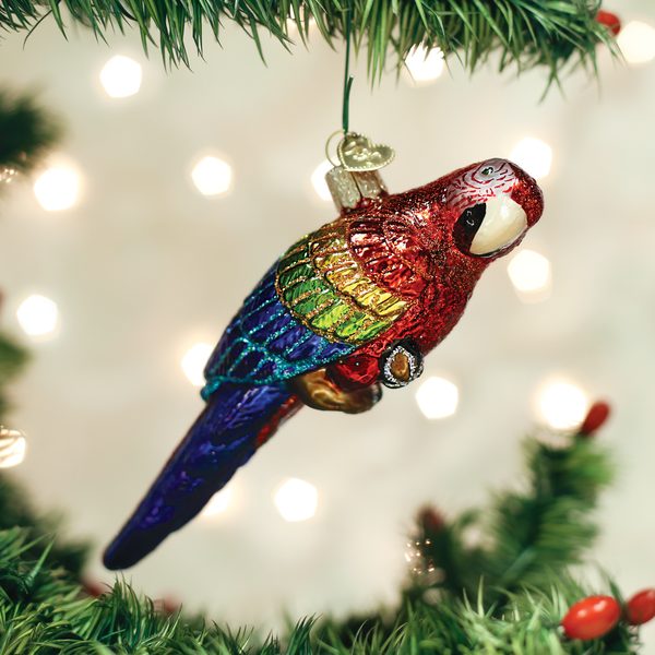 Old World Christmas - Tropical Parrot - 16117