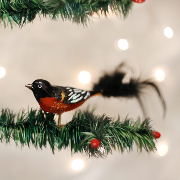 Old World Christmas - Baltimore Oriole - 18059