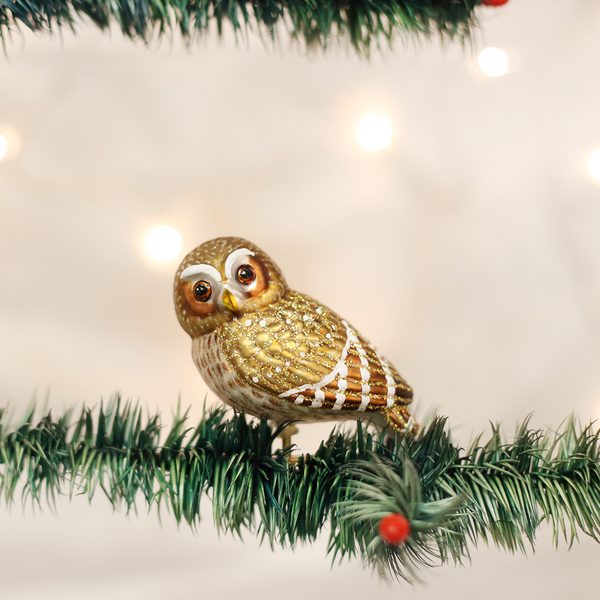 Old World Christmas - Pygmy Owl - 18067