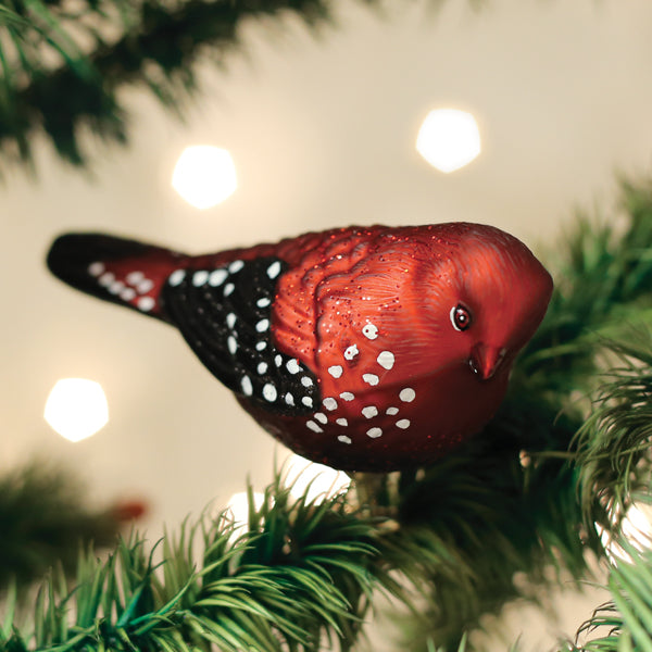 Old World Christmas - Strawberry Finch - 18134