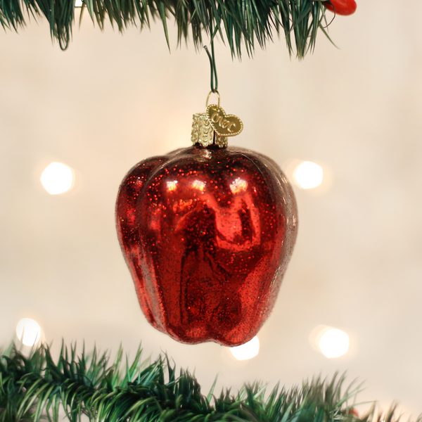 Old World Christmas Glass Blown Ornament with S-Hook and Gift Box, Fruit Collection (Red Delicious Apple)