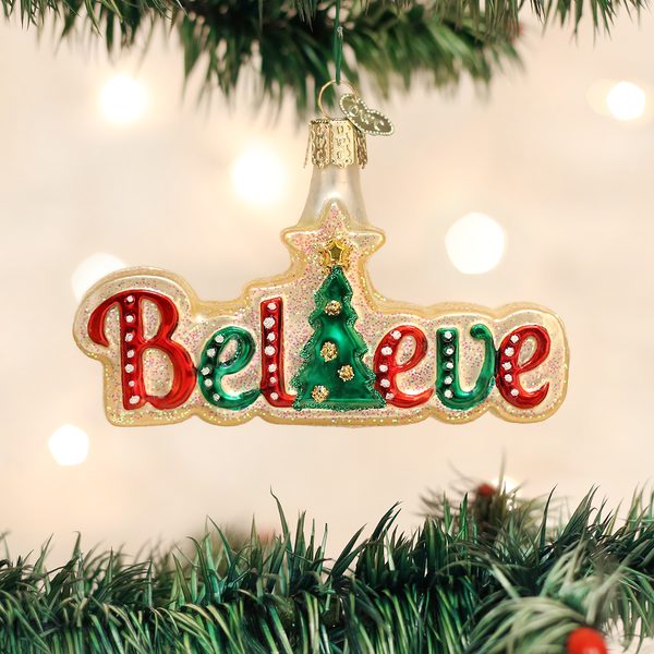 Old World Christmas Glass Blown Ornament with S-Hook and Gift Box, Message Collection (Believe)