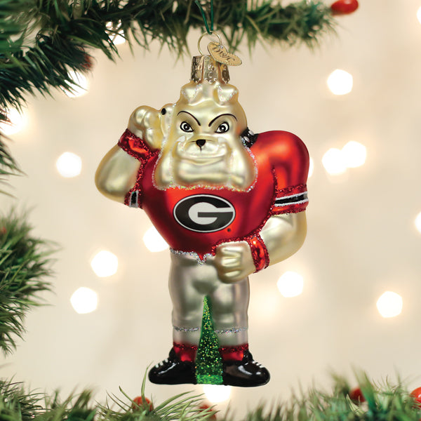 Old World Christmas - Georgia Hairy Dawg - 62399