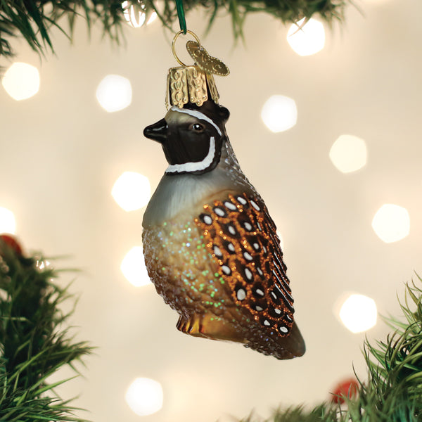 Old World Christmas Glass Blown Ornament with S-Hook and Gift Box, Animals (Quail, 16147)